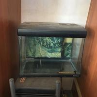 ACQUARIO PER PESCI