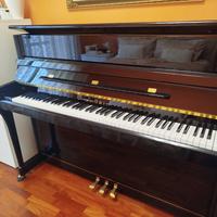 pianoforte Schimmel 116 anniversario 