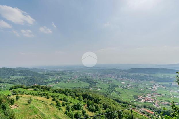 TER. AGRICOLO A NEGRAR DI VALPOLICELLA