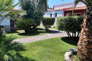 Last Second 9-15/08 Mono 2 posti Peschici Puglia