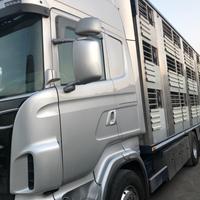 Scania r 560 trasporto bestiame