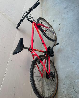 Mountain bike