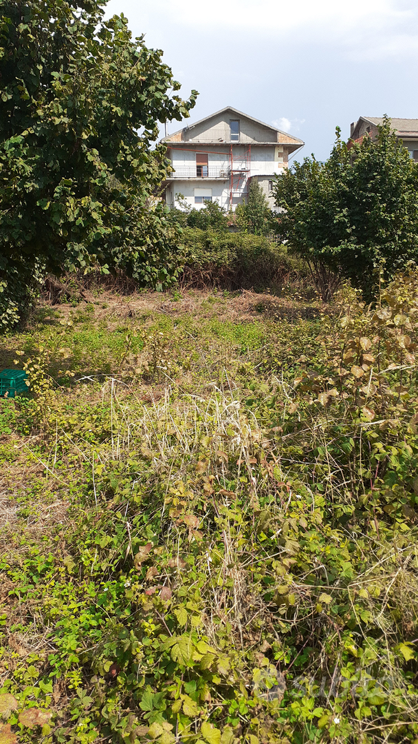 Terreno agricolo - Vista 2