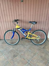Bici Vicini