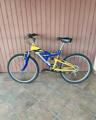 Bici Vicini