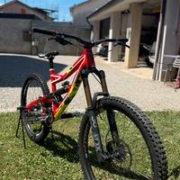 Specialized status M