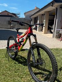 Specialized status M