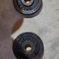 due dischi marca energetics da 1 kg 