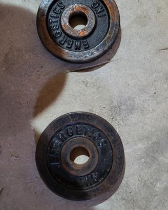 due dischi marca energetics da 1 kg 