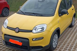 FIAT PANDA/PANDINA  HYBRID – POCHISSIMI KM