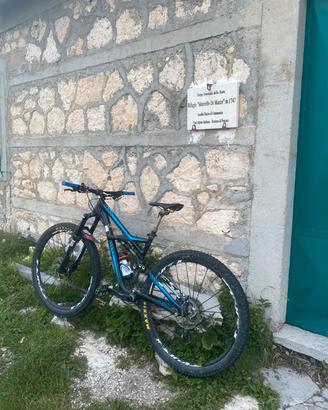 Specialized enduro