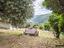 Immagine 24