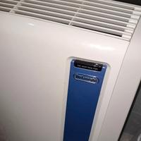 Pinguino De longhi classe A 