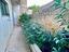 Immagine 11