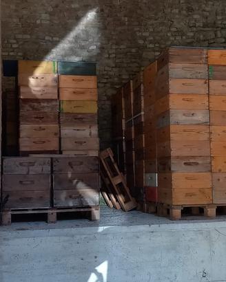materiale apistico vario