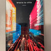 Brucia la città di Giuseppe Culicchia