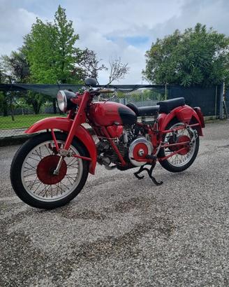 Moto guzzi 500 sport falcone