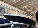 searay-sundencer-305