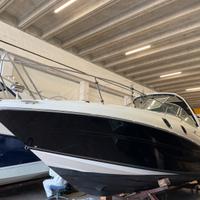 Searay Sundencer 305