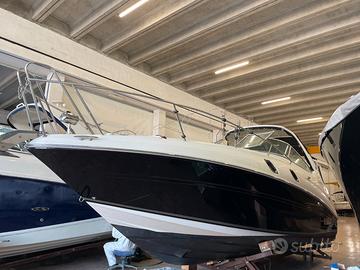 Searay Sundencer 305