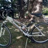 mountain bike Bottecchia