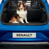 GRIGLIA DIVISORIA PER CANI RENAULT CLIO V ORINALE