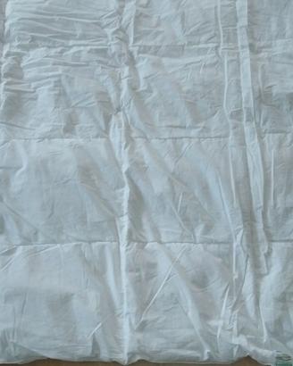 Piumino d'oca 200X155 singolo