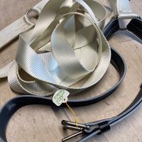 Cavallo briglia corda