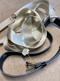 Cavallo briglia corda