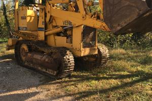 Pala cingolata Venieri