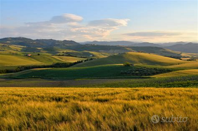 Cercasi Terreno Agricolo a Bologna