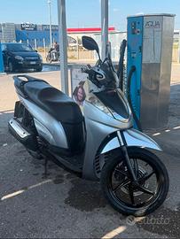 Sh 300 sport