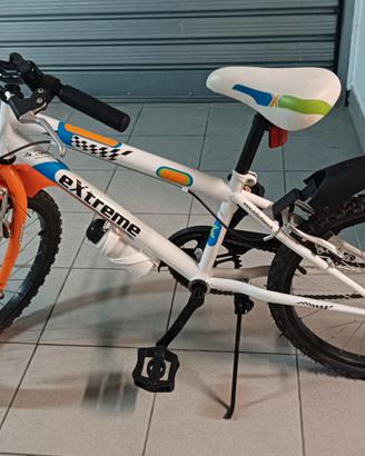 bicicletta raggio 20