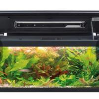 Acquario 120 litri