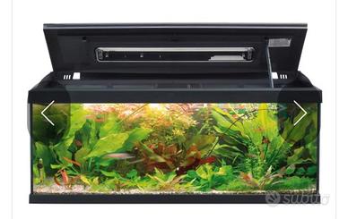Acquario 120 litri