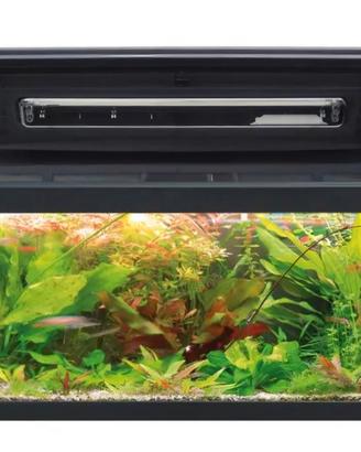 Acquario 120 litri