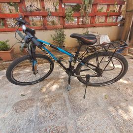 mountain bike torpado