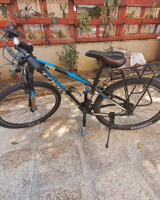 mountain bike torpado