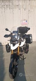 Triumph Tiger 900 Rally pro 