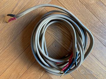 CELLO STRING 3 Speakers cables
