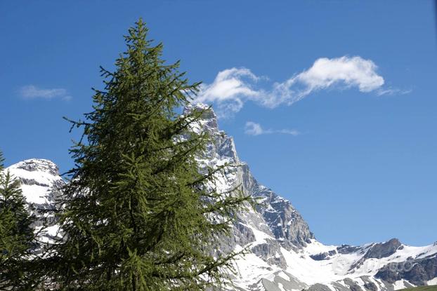 CERVINIA Bilocale ristrutturato