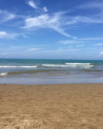 San Vincenzo  appartamento due passi dal mare