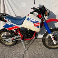 Apria tuareg rally 250