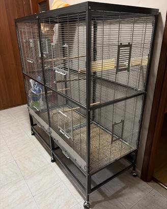 Voliera per pappagalli