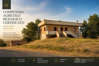 Compendio agricolo biologico 60000mq con vigneto