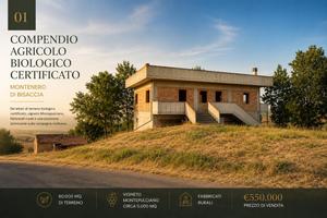 Compendio agricolo biologico 60000mq con vigneto