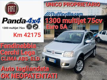 Fiat Panda 1.3 MJT 16V DPF 4x4 Climbing