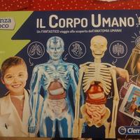 Il corpo umano