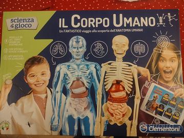 Il corpo umano