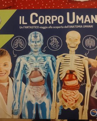 Il corpo umano